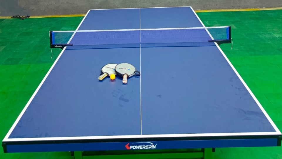 Tennis Meja